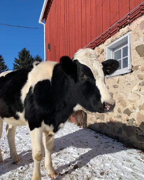 272505902 4993285950730542 7882571122270122134 n