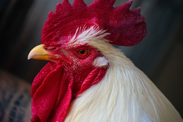 39662D53 0E42 446D 9F3F 5456329DA5F3