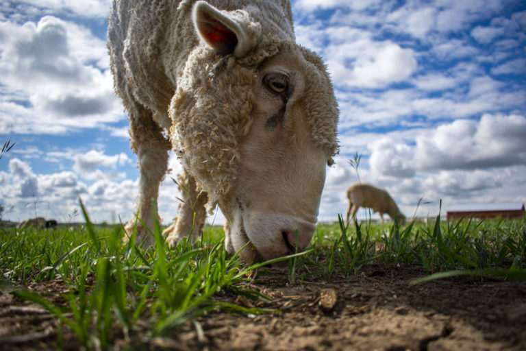 EB1641BA F34B 47EF BC98 B136F7814DFC 1 105 c 768x512