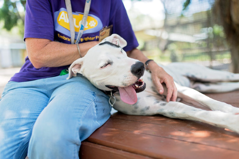 charlie4 LowRes 768x512